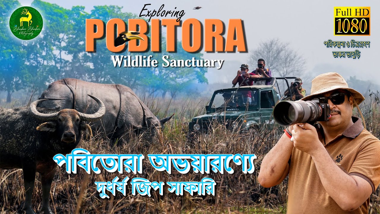 Exploring Pobitora Assam | Jeep Safari at Pobitora Wildlife Sanctuary | One Horned Rhinos | পবিতোরা
