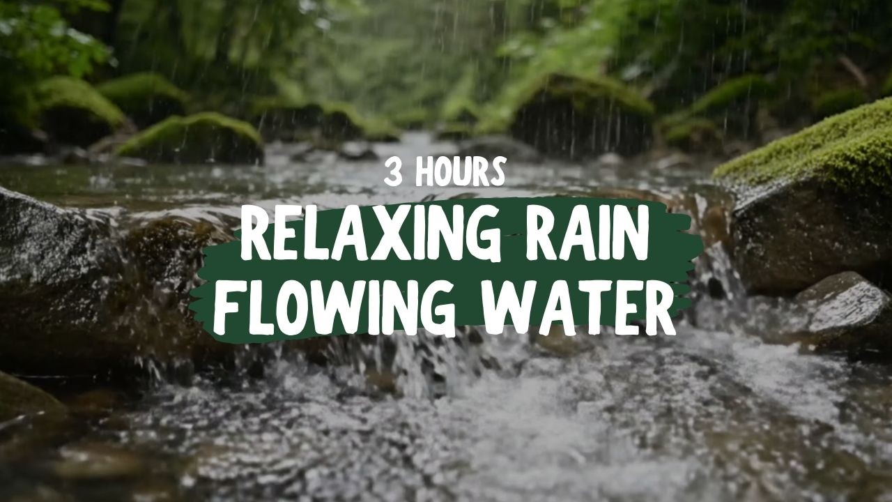 3 Hours of Relaxing Rain & Flowing Water Sounds 🌧️ | 4K Forest Stream for Sleep, Study, Relax