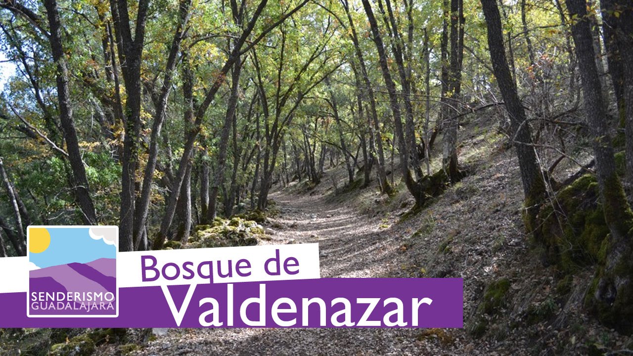 #senderismo CRGU (XIX): Bosque de Valdenazar - Yebes/Valdeluz - Guadalajara