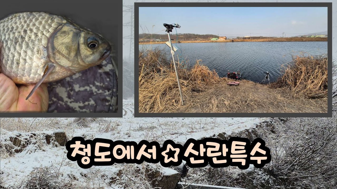 눈 ㆍ 바람속으로☆청도에서
