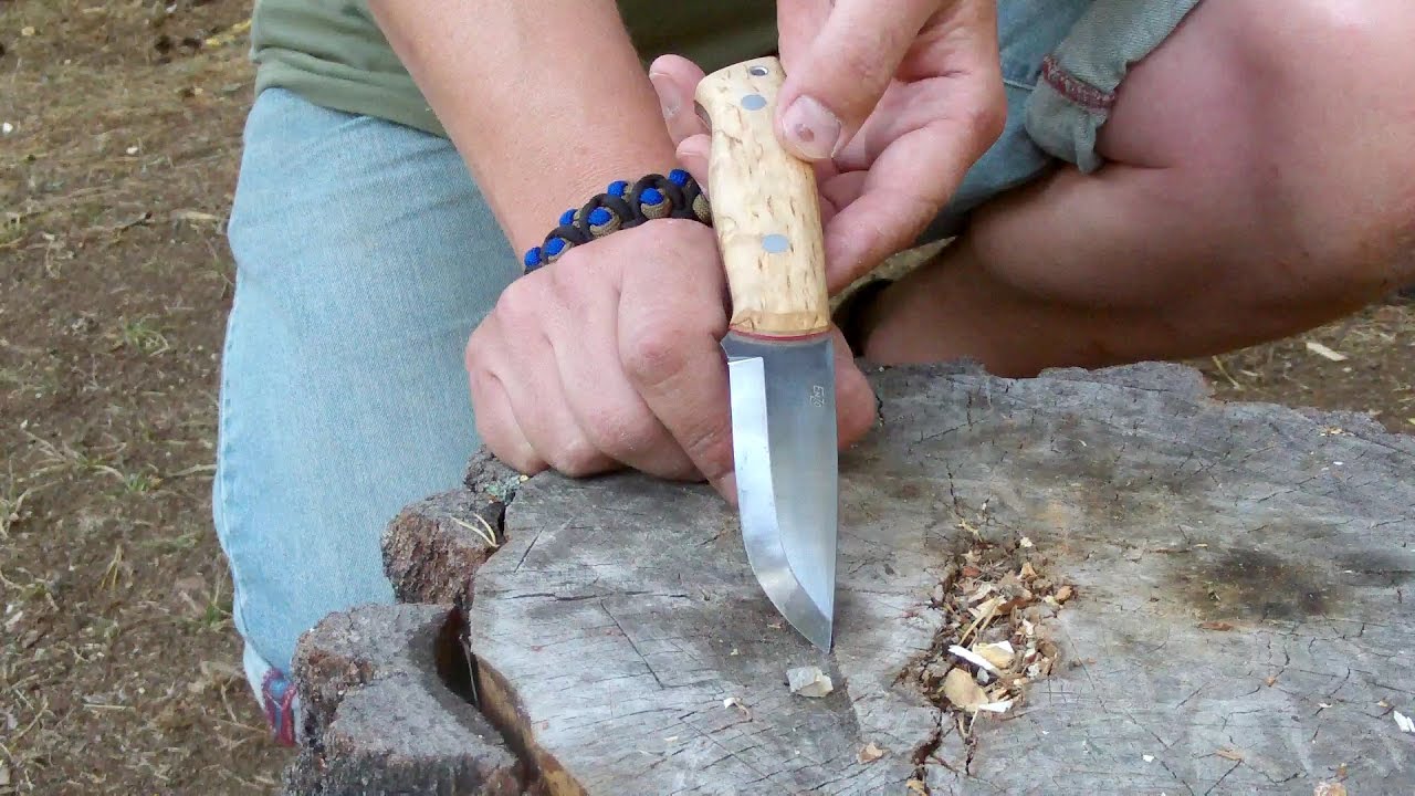 Thor-is-testing: EnZo - Trapper