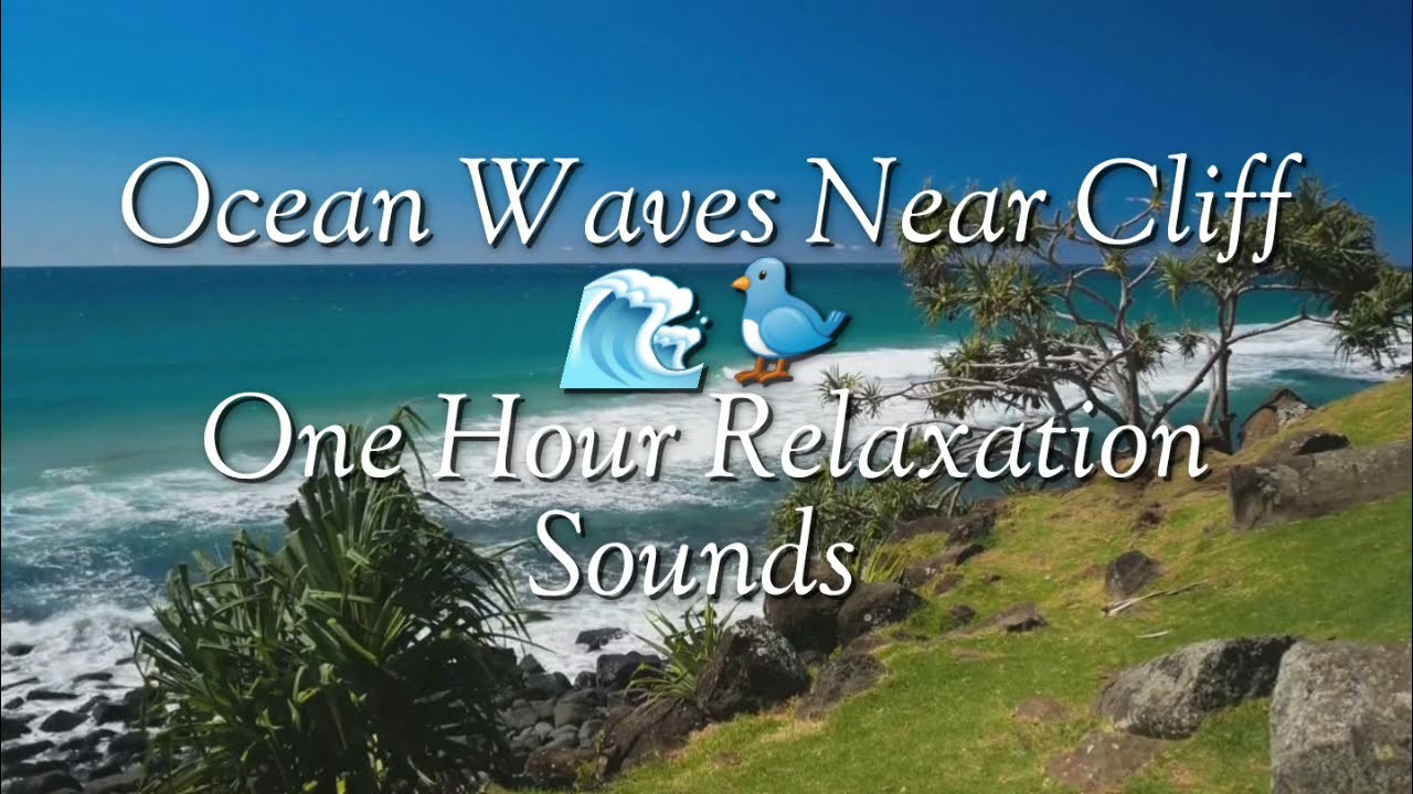 Cliffside Harmony / Blue Ocean Waves and Bird Chirping