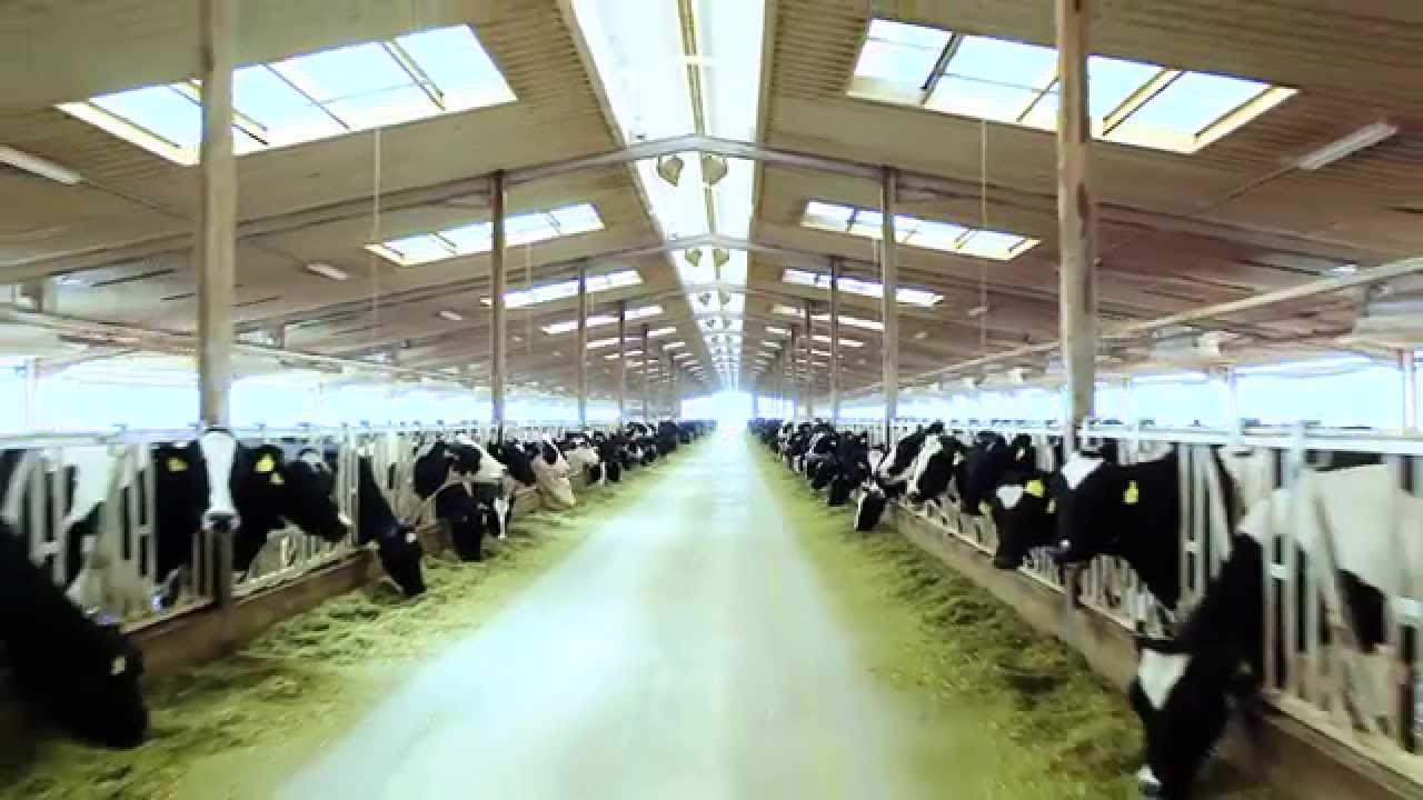 Almarai : Expansion and growth with lasting passion for Quality