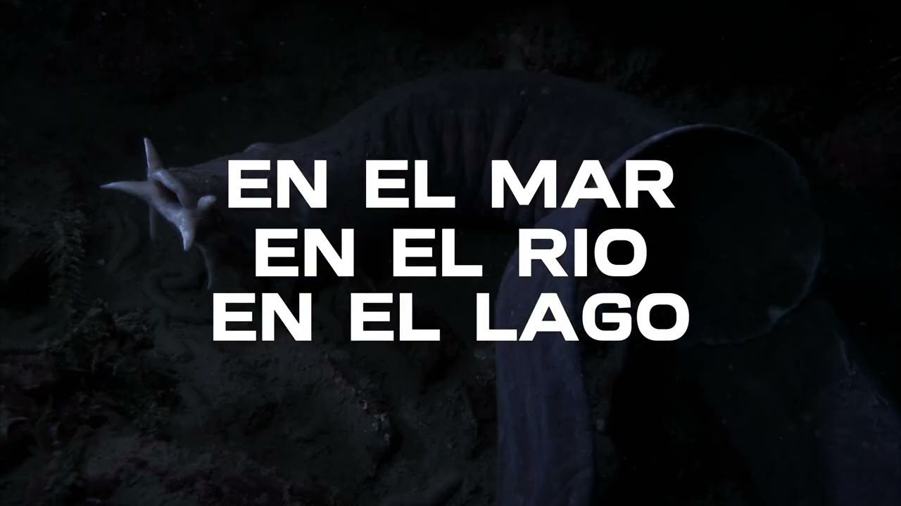 Trailer Agnatos