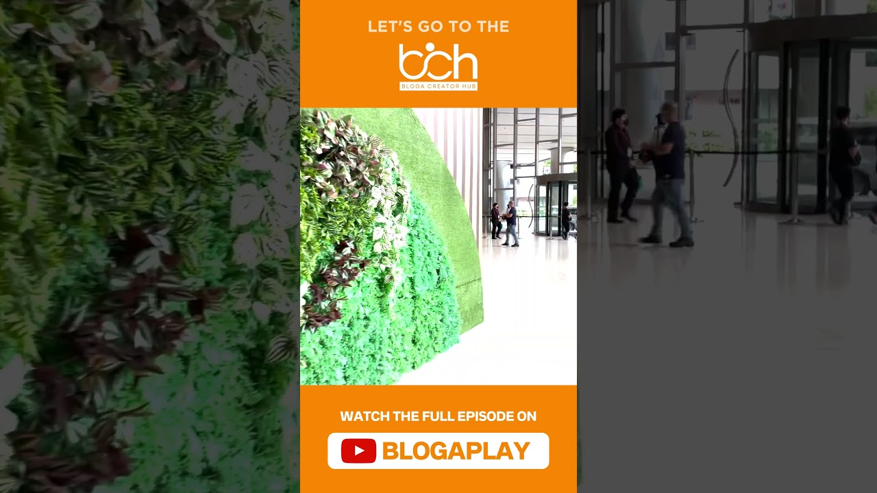 How to get to the Bloga Creator Hub (bch)? | BlogaPlay