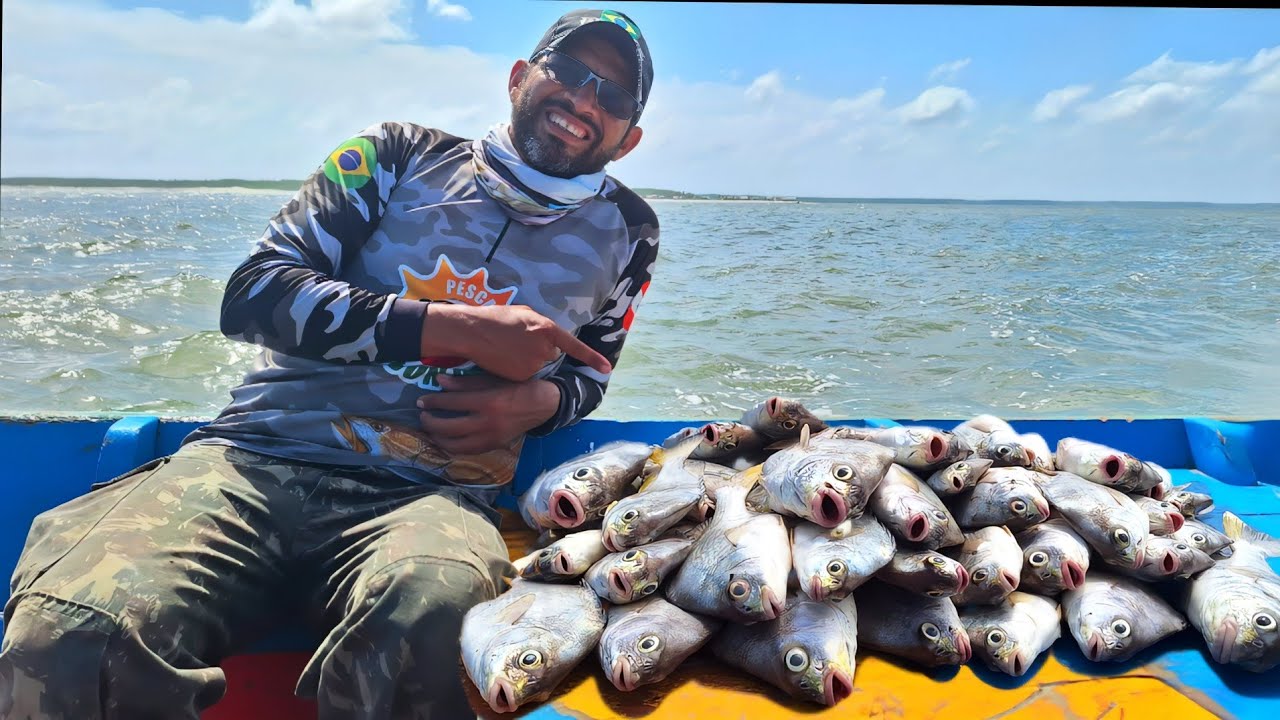 Vejam o cardume de PEIXE PEDRA capturadas, só fisgadas tops.
