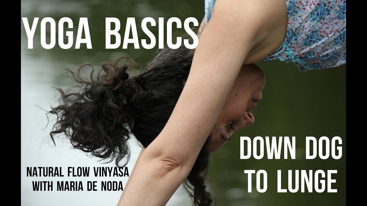 Yoga Basics: Down Dog to Lunge Transition