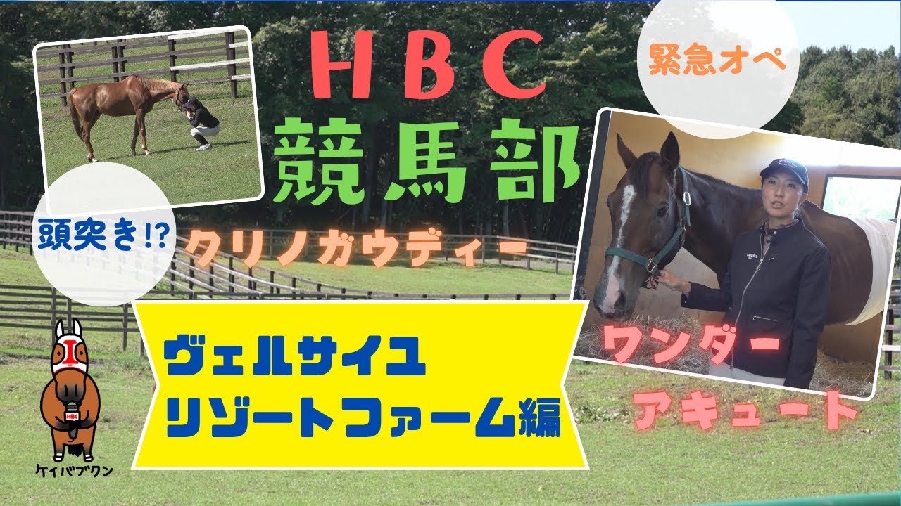 【HBC競馬部TV】馬場馬術に挑戦！クリノガウディー大会初参戦＆ワンダーアキュート最新情報