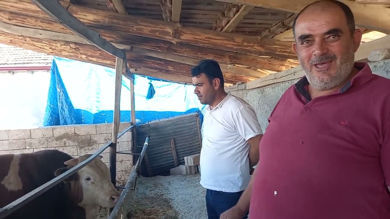 SERBEST YEMLEME YAYGINLAŞIYOR