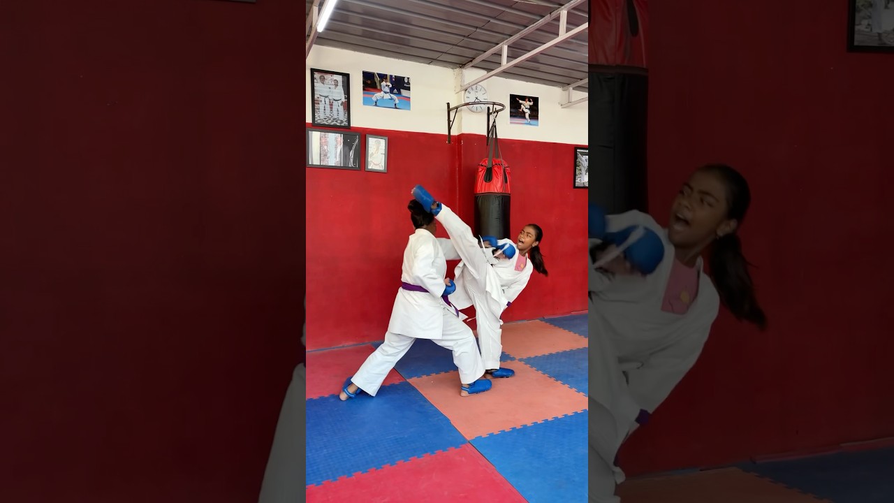 Shotokan Traditional Karate - Do Federation