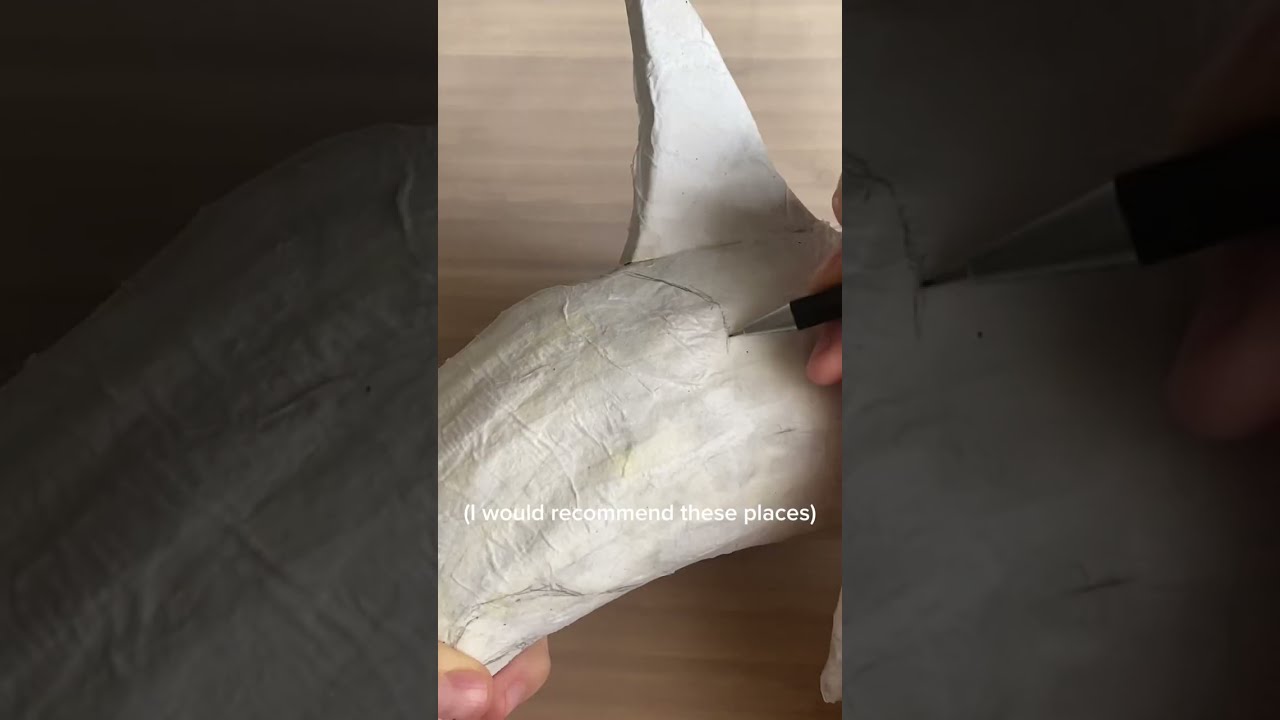 Paper mache orca
