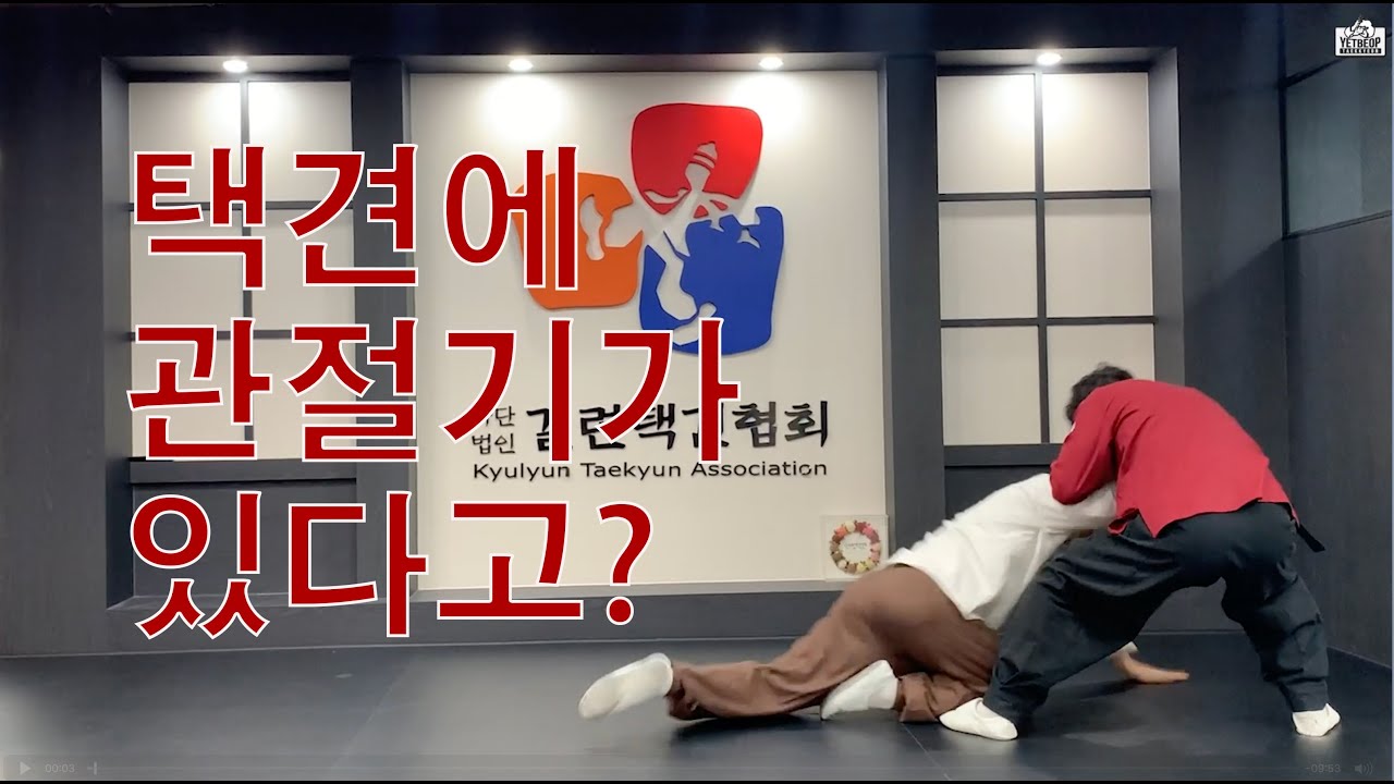 택견에 관절기가 있다고? 잡기만 해봐 바로 꺽어준다ㅎㅎ[Master Hwang TV]