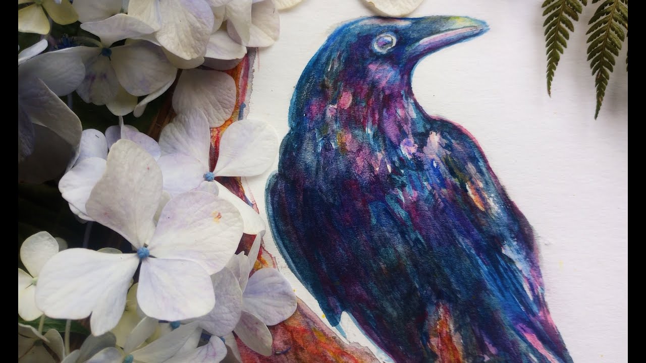 retro watercolour raven illustration 