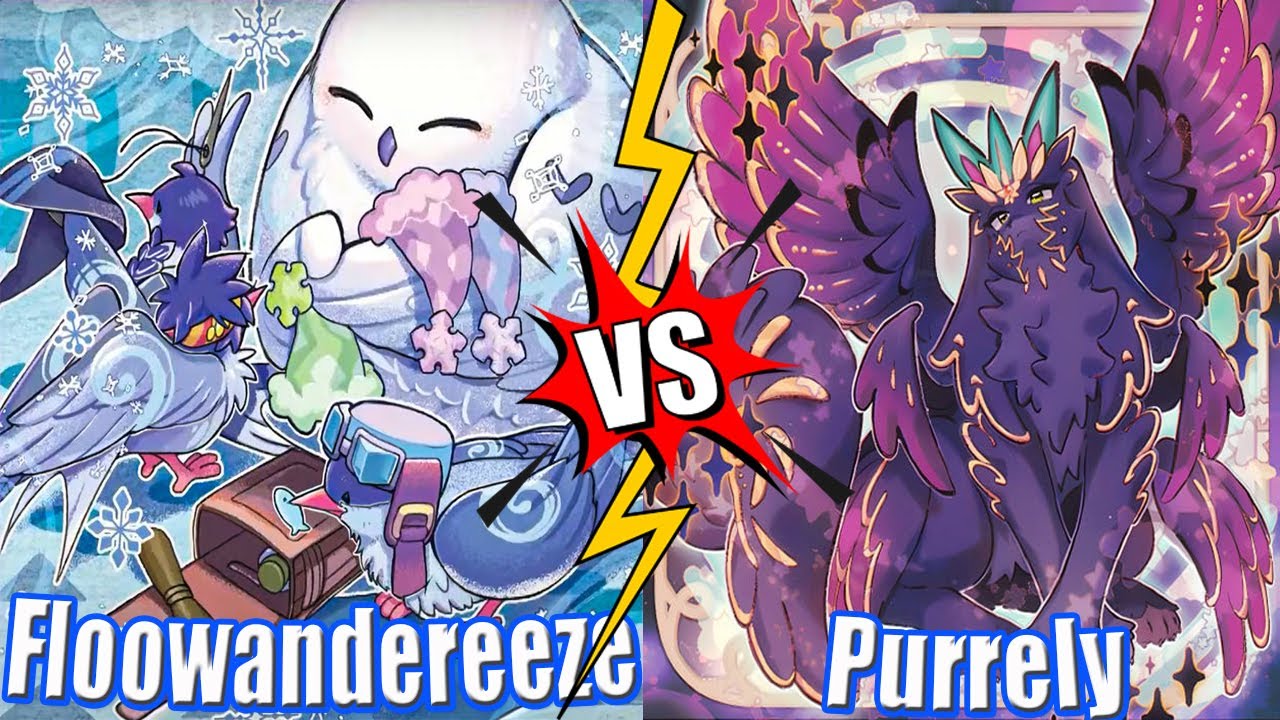 Floowandereeze vs Purrely - High Rated DB Yu-Gi-Oh! 2024