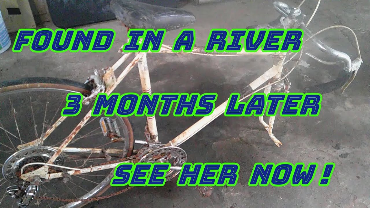 Ten Speed Bike Restoration / Ross Ten Speed Bicycle