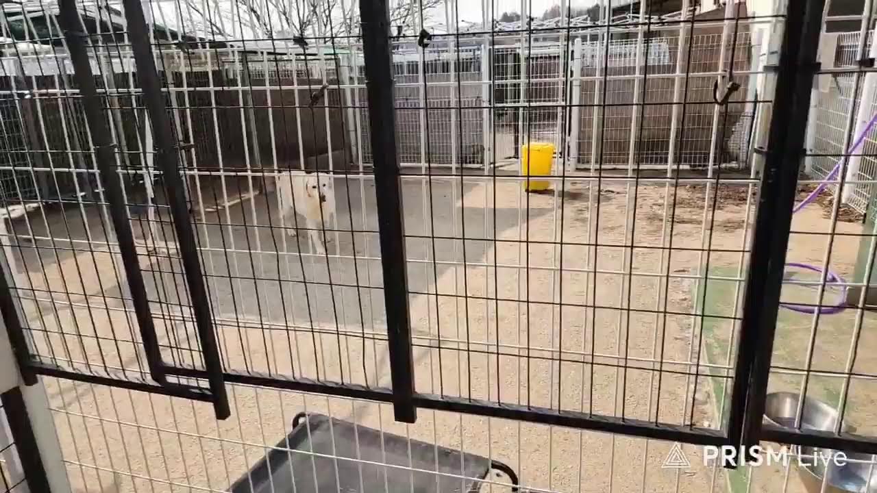 어독이마을