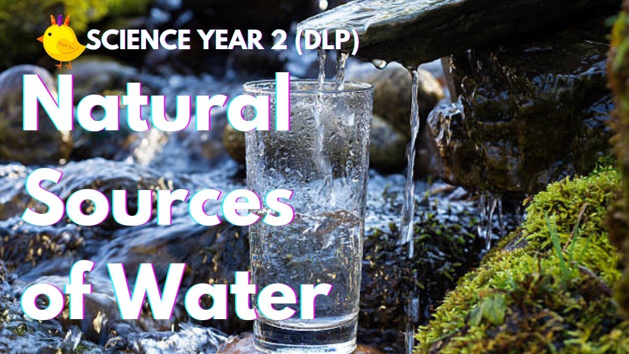 Natural Sources of WATER | Science DLP Year 2