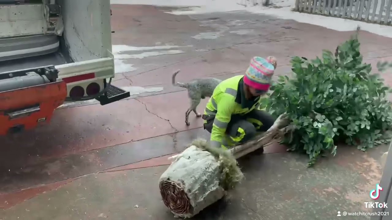Have some mattress and old fake tree for you today:)