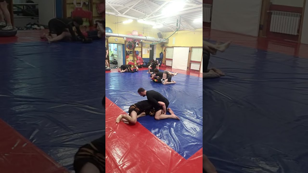 MMA Training / Sparr day