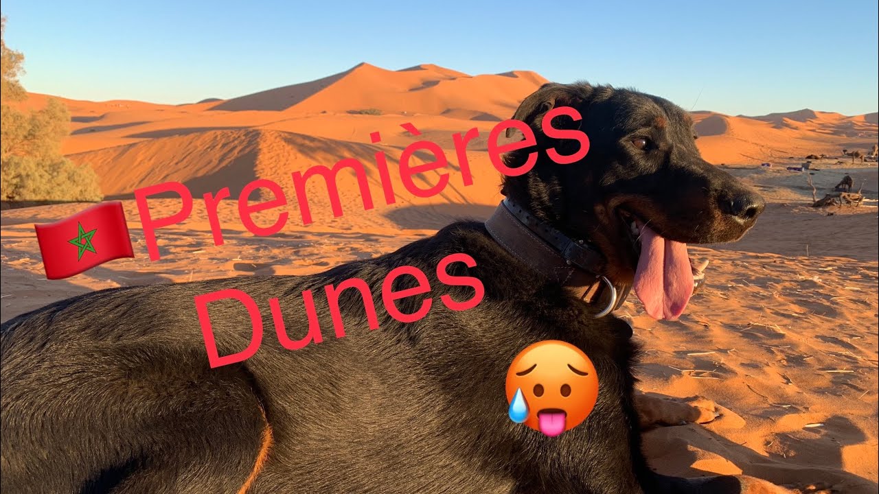 Maroc Grandes Dunes Désert  Van Life