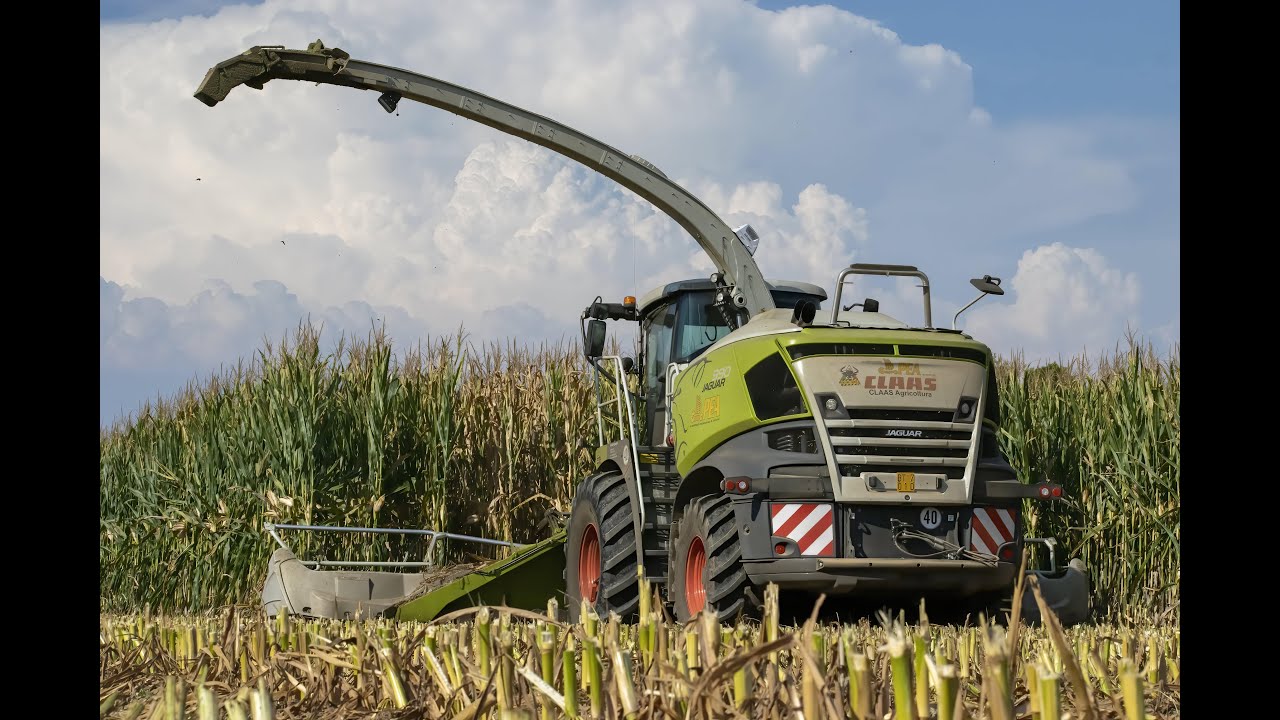 CLAAS JAGUAR 990!! Trinciato 2022 Gruppo Pea