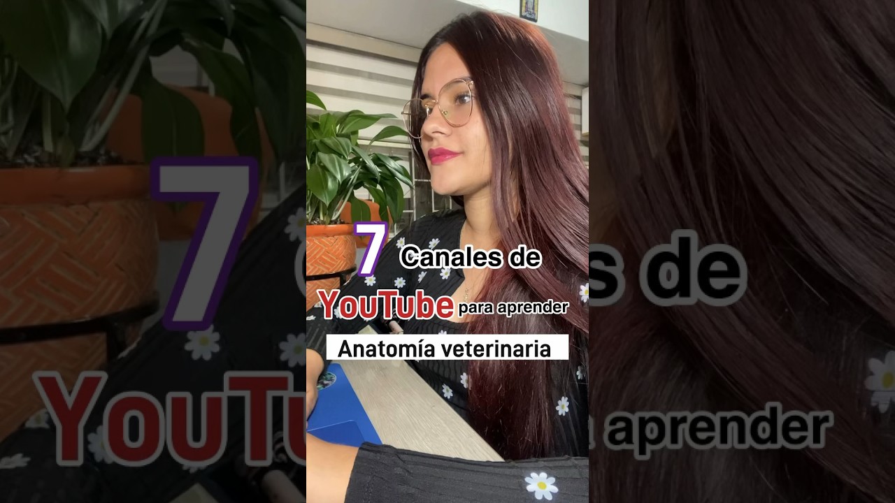Aprende Anatomía Veterinaria 
