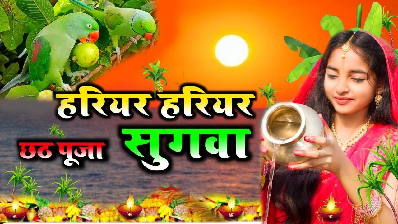 छठ गीत/chhath Geet||हरिहर हरिहर सुगाव दीनानाथ/Hairiar haririer sugva a dininath||#viral #chhathpuja