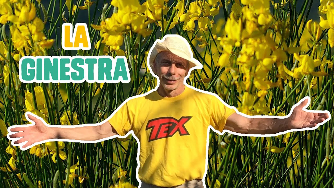 GIOVA LOVES NATURE 🌳 - Ep.2 - La tossica GINESTRA