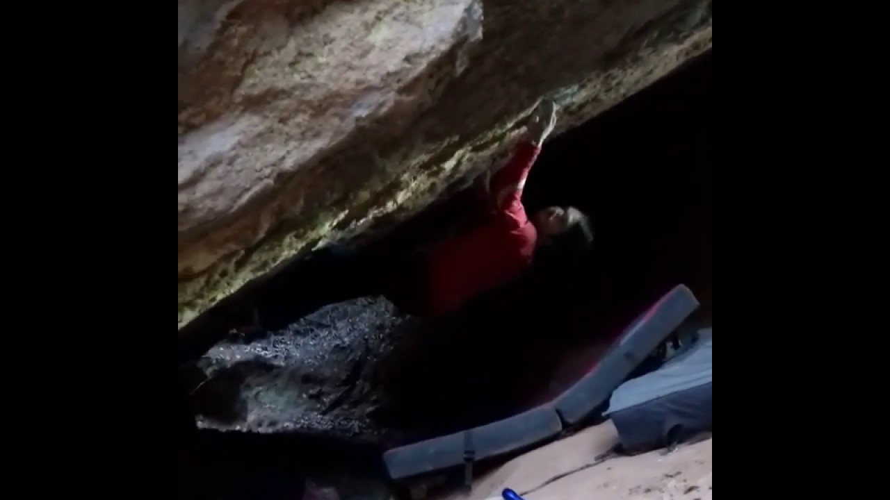 Llam&agrave;ntol d'or, 8a (sit). Salvanebleau