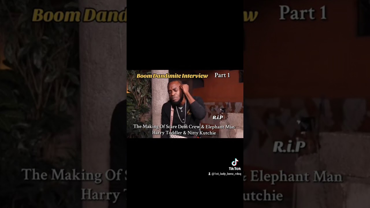 Boom Dandimite Interview About Scare Dem Crew Break Up: Part 1