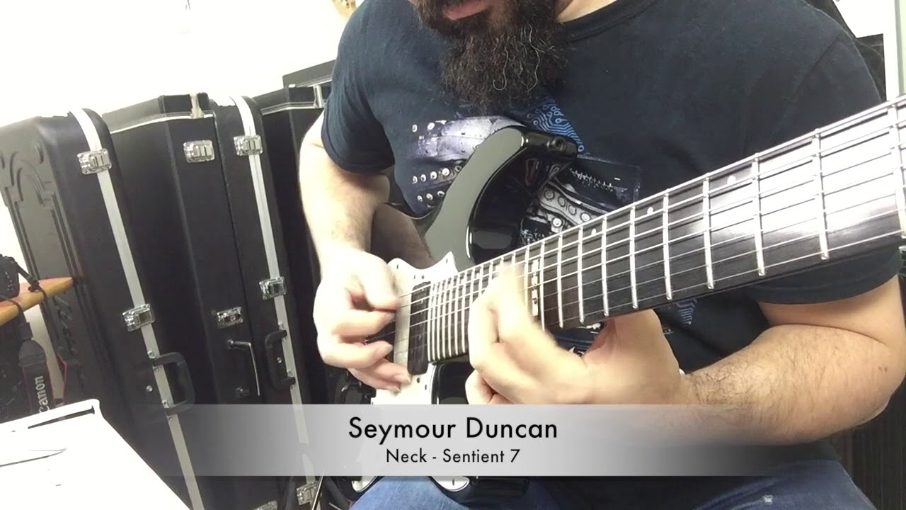 DiMarzio VS Seymour Duncan