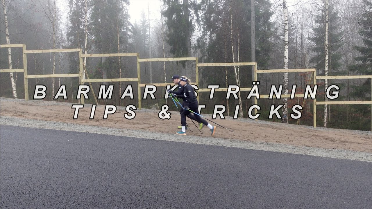 Barmarksträning - Tips & tricks