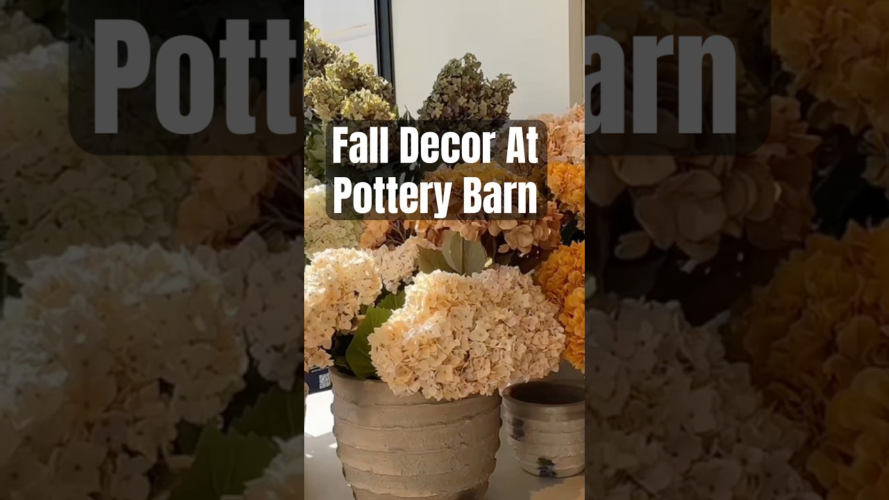 Fall at Pottery Barn | Cozy, Elegant & Timeless Home Decor Finds