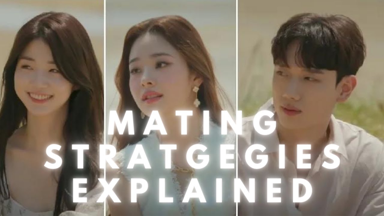 Dating Coach Reacts To Korean Dating Show Single's Inferno Episode 2 Date Mistakes