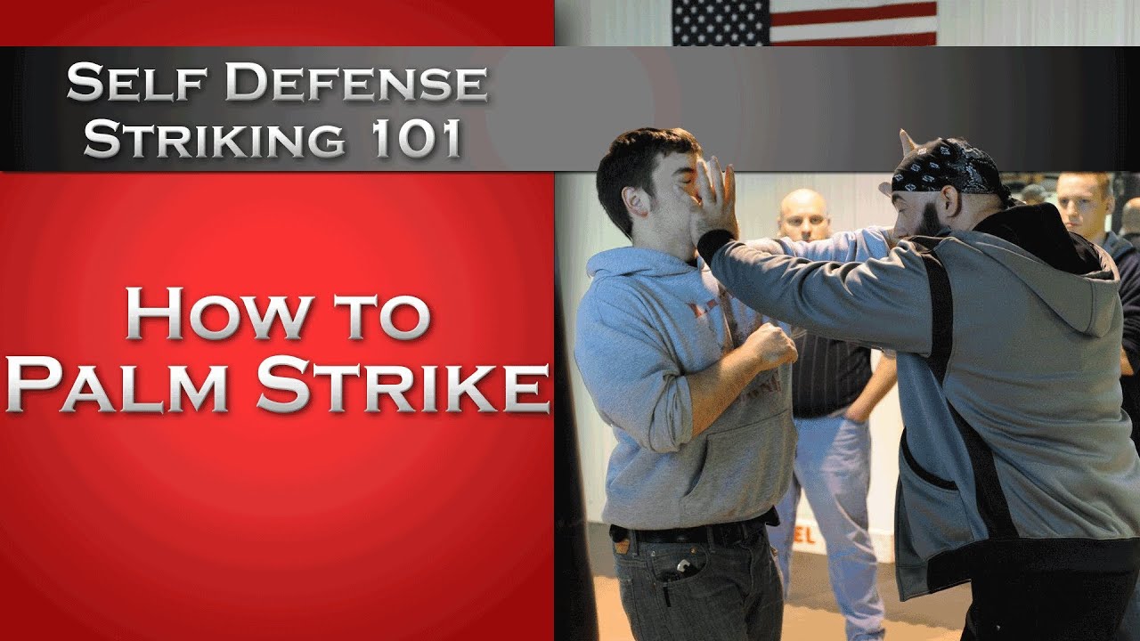 Self Defense Striking 101: How to Palm Strike