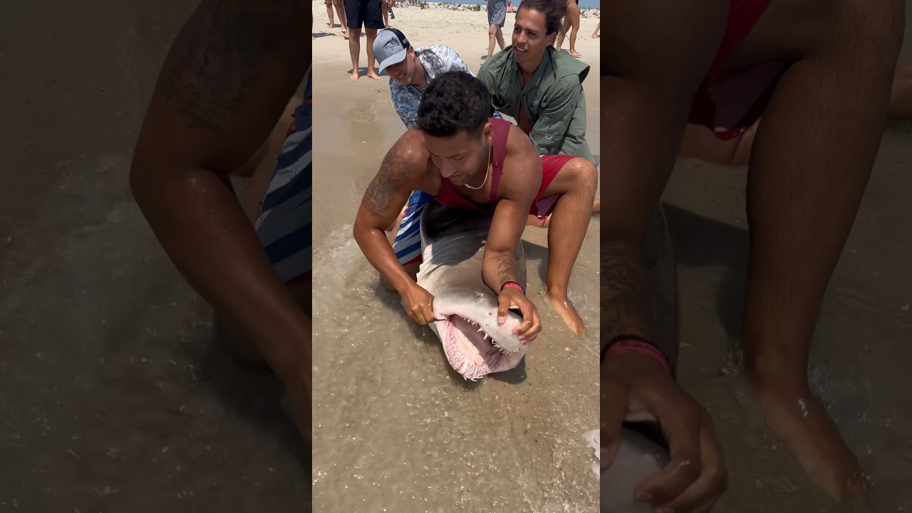 ✅Hook Removal and Release✅ 