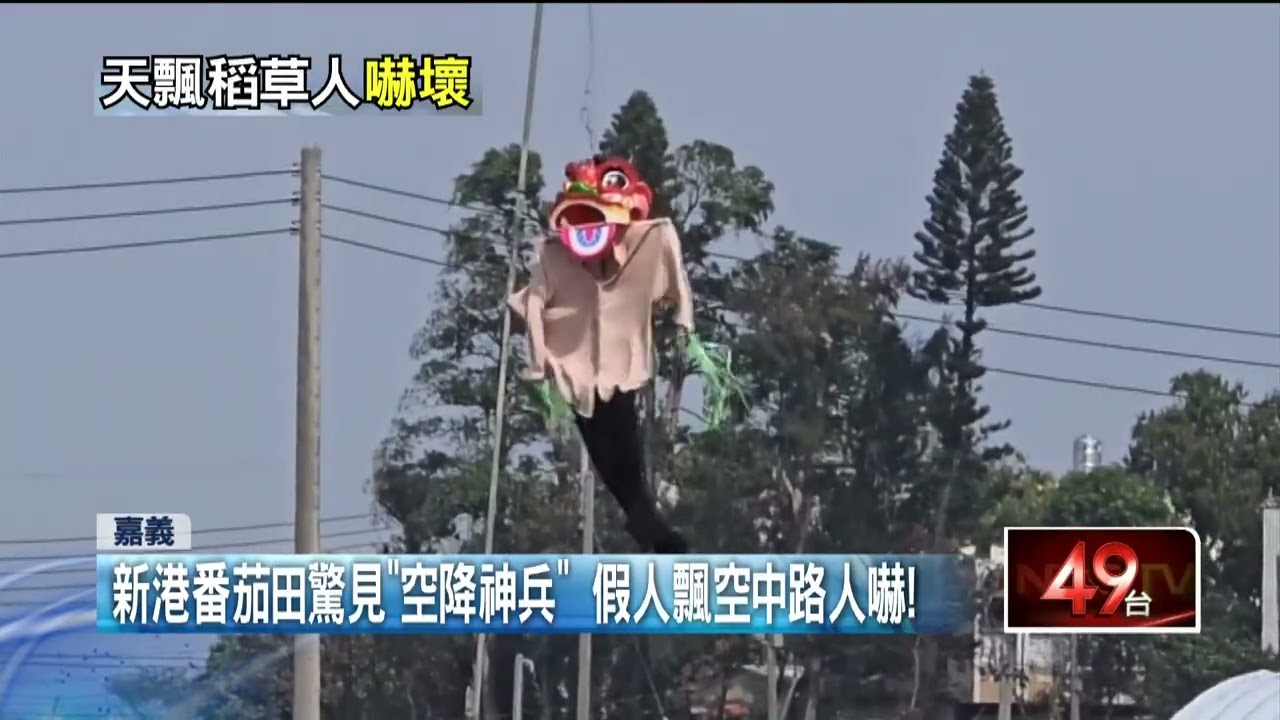 免驚啦！ 新港番茄田驚見「空降神兵」 假人飄空中