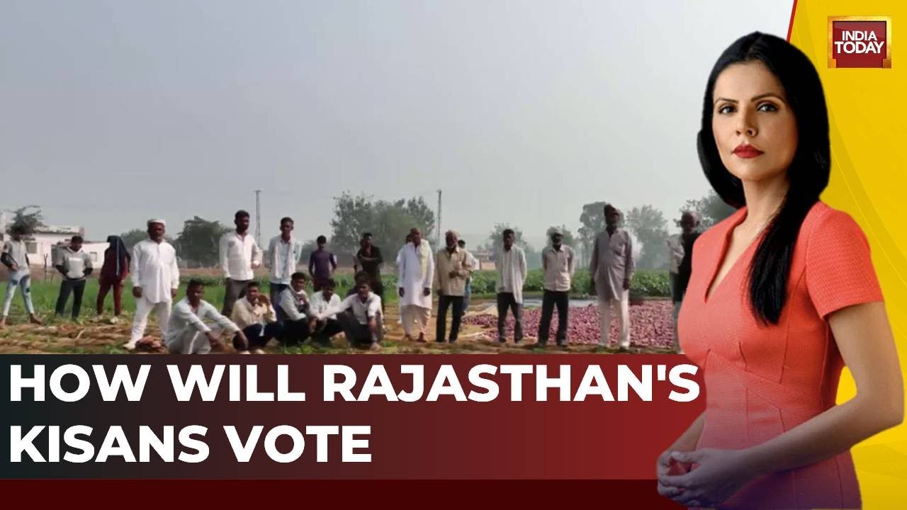 Plight Of The Onion Farmers In Rajasthan: Here's What They Have To Say | Rajasthan Election 2023