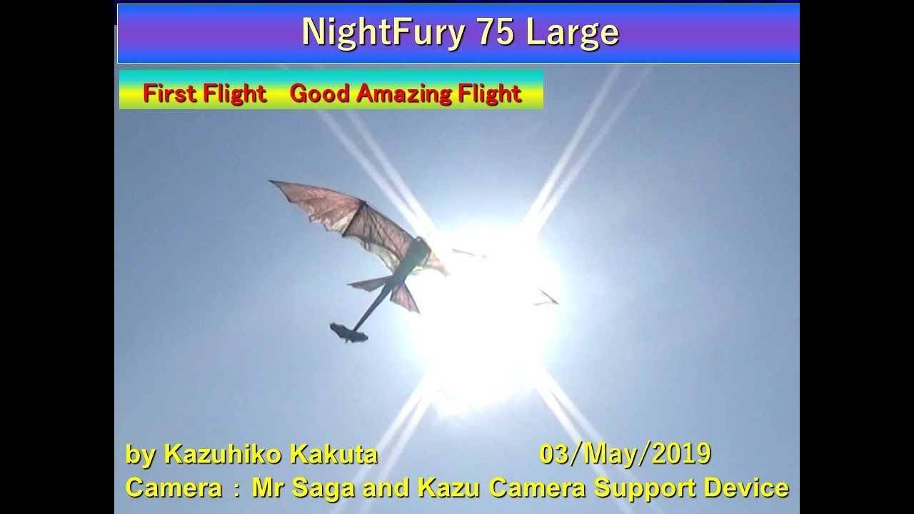 NightFury 75 Large wing span 280cm : First Good Amazing Flight