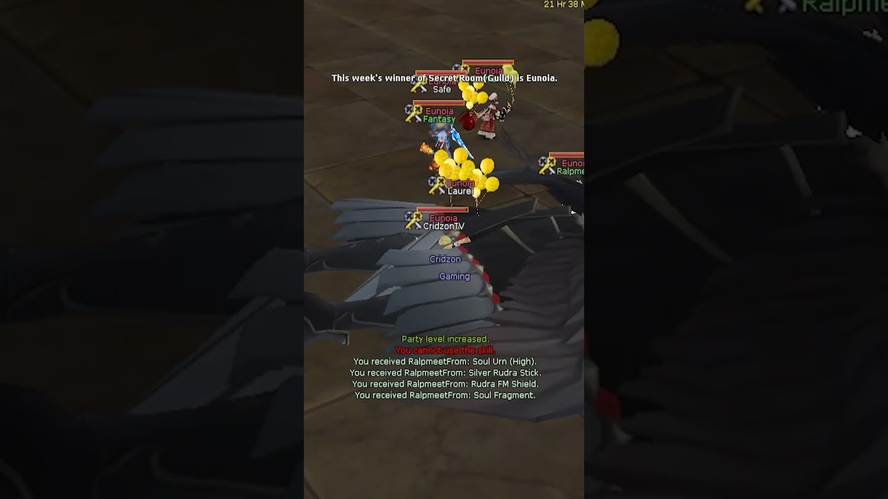 Secret Room Silver Rudra Drops - Insanity Flyff