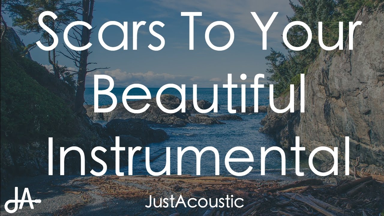 Scars To Your Beautiful - Alessia Cara (Acoustic Instrumental)