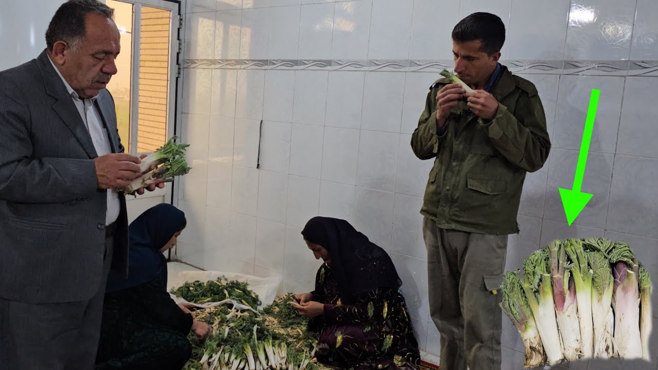 Informative: The secret of medicinal plants in the hands of an engineer