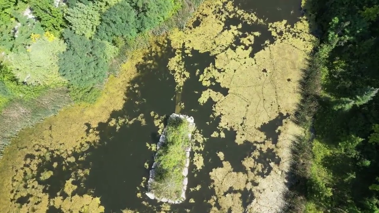 Simcoe Lake and Wilkins Walk Forest Drone Footage 60fps