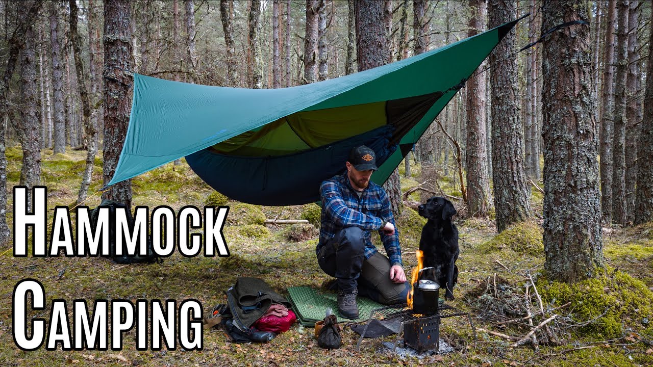 Hammock Camping With My Dog and Rewilding (?)