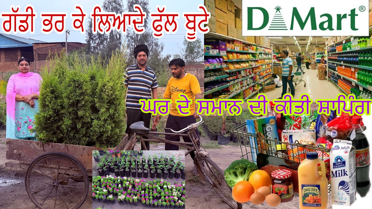 ਨਵੀਂ ਰੁੱਤ ਦੇ ਨਵੇਂ ਬੂਟੇ ਲਿਆਂਦੇ ਇਹ ਬੂਟੇ ਨੇ ਬਦਲੀ ਕਿਸਮਤ Manjit kular vlogs 