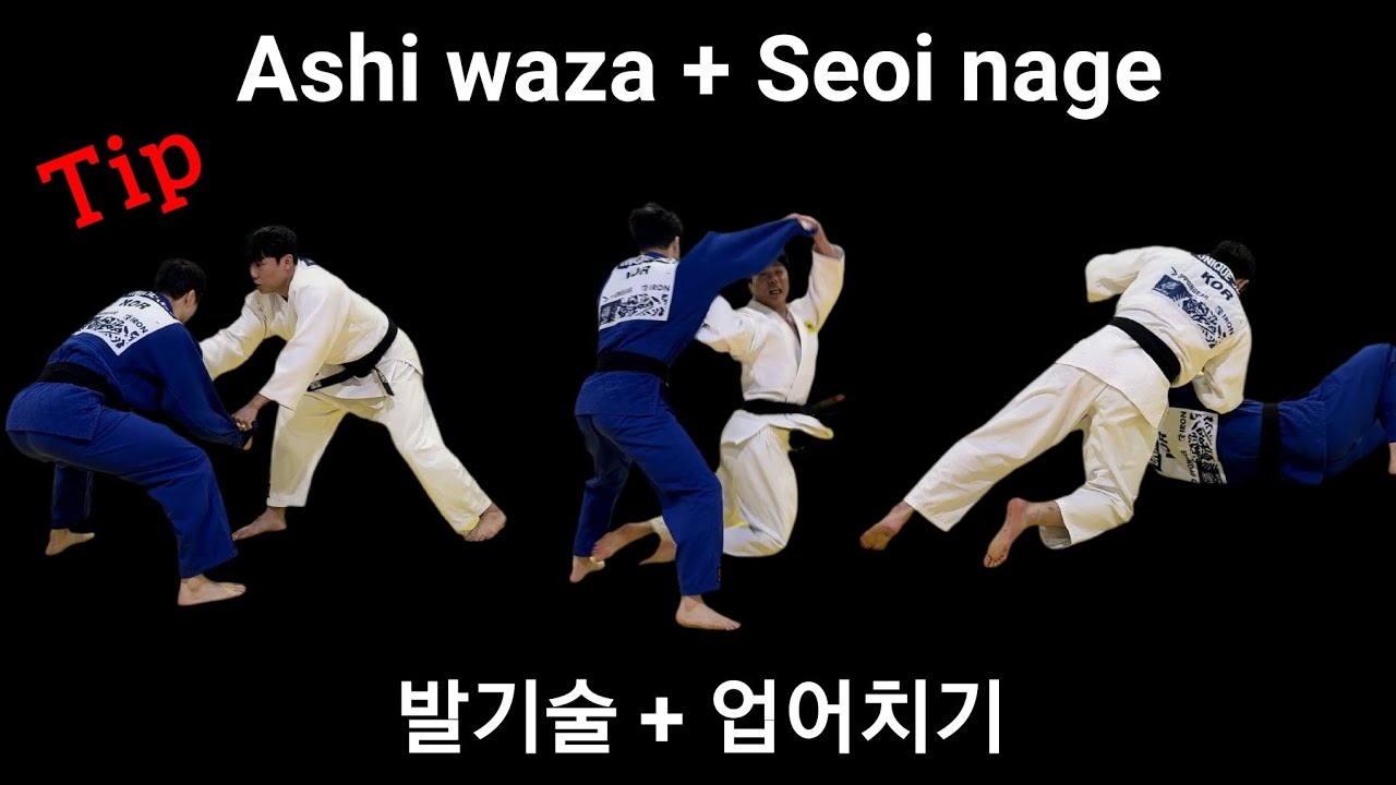 유도의 필수 기본 공식 Judo Essential Fundamentals