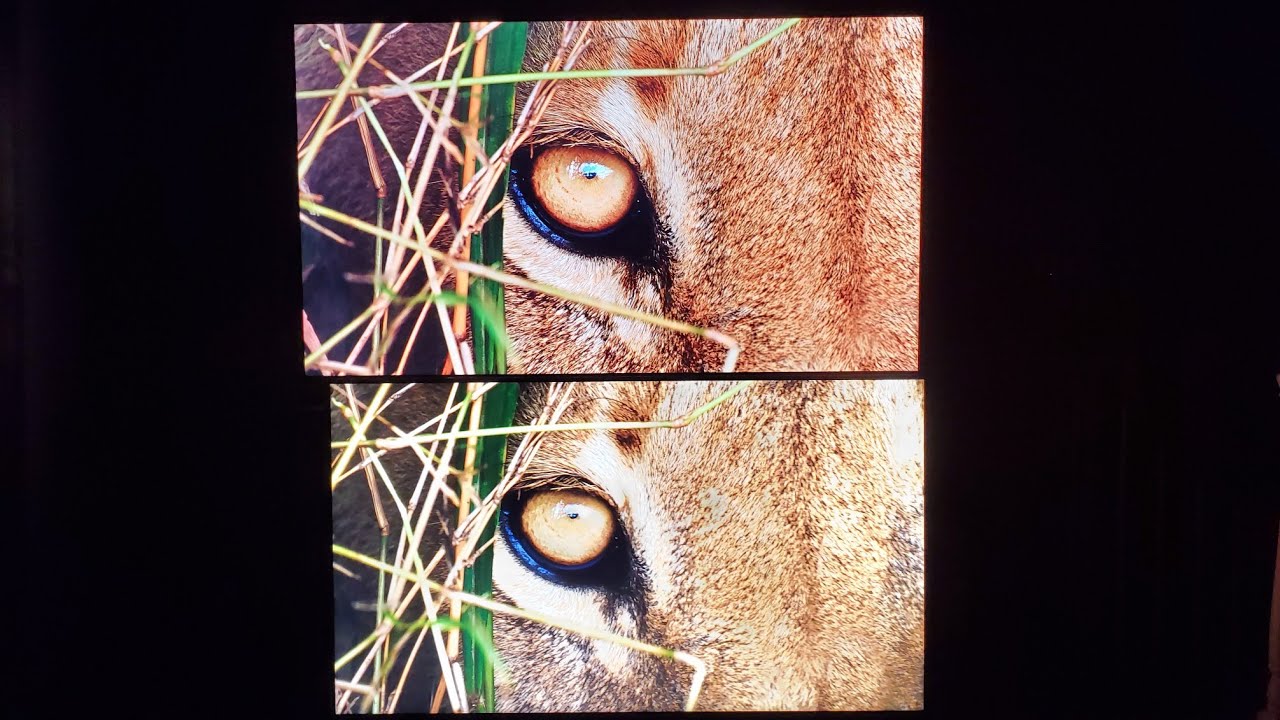 SONY X90J LED VS THE SONY 900E CAN THE NEW KID COMPETE WITH THE LEGEND?  (VALUE ELECTRONICS)