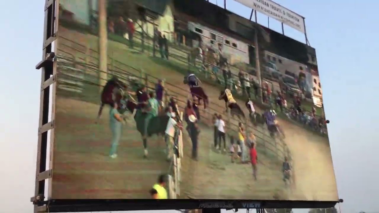 Sheridan Wyo Rodeo Friday heat 4 2023