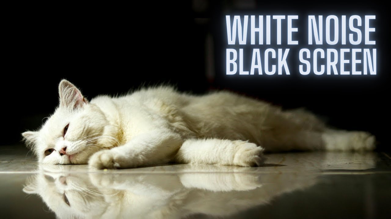White Noise BLACK SCREEN 🐾 Soothing and calming sounds to heal and relax