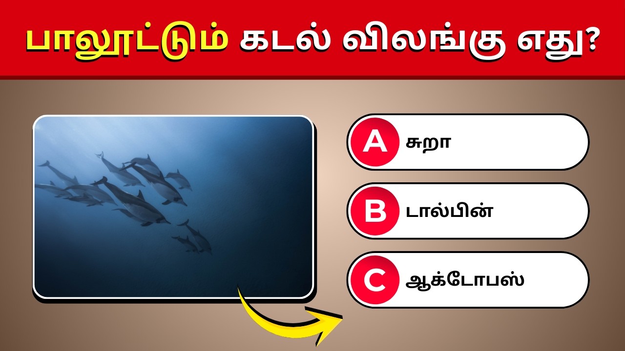 🐘🦜 Animal & Bird GK Quiz in Tamil